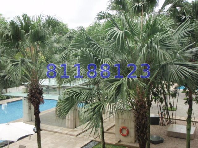 Grange Residences (D10), Condominium #71431841